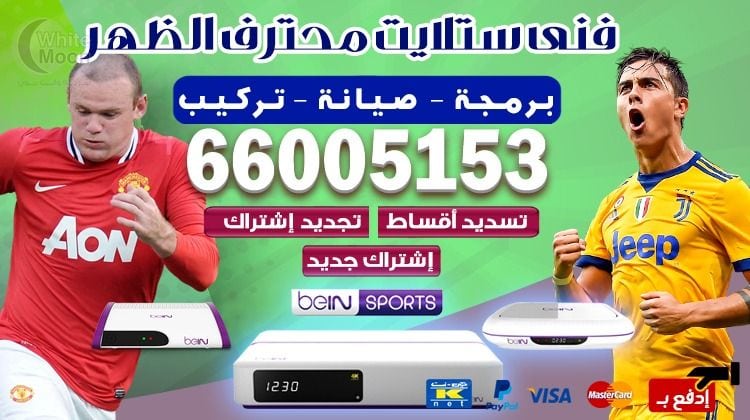 ستلايت الظهر